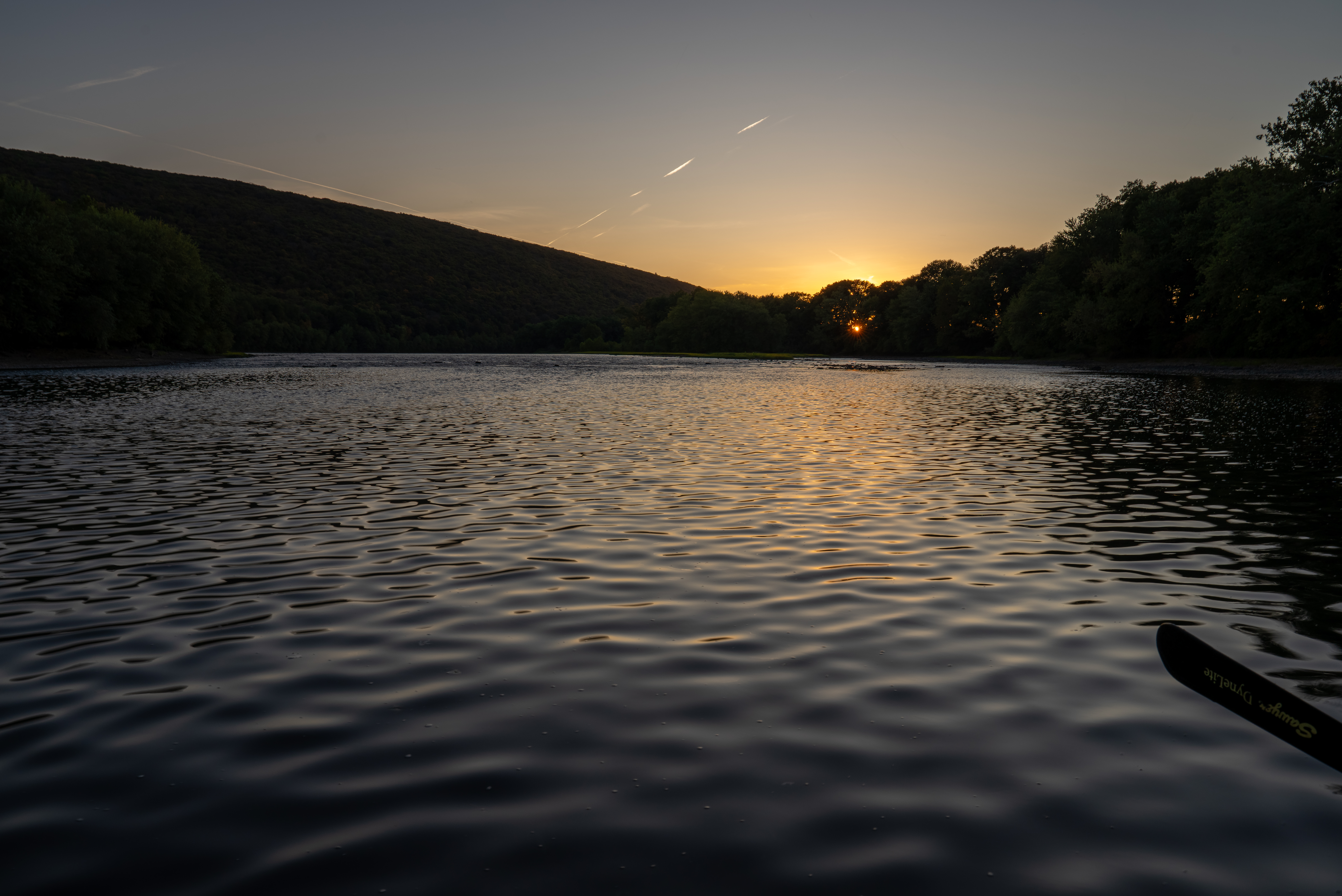 Successful fly fishing trip on Pennsylvania stream